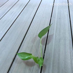 Cubierta de WPC con tapa hueca rentable, a prueba de humedad, superficie fácil de limpiar, garantía de 10 años, muestras disponibles - Product Image 6