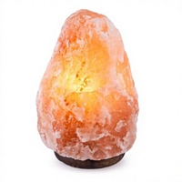 Lampe en sel rose de l'Himalaya naturel de 3-5 kg avec base en bois, lampe en cristal de sel, décoration d'intérieur, lumière purifiante pour la chambre