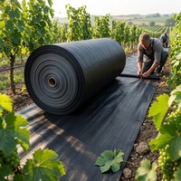 PP Gewebte Raffia-Stoffrolle Polypropylen Schlauchförmig Hochbelastbar UV-Stabilisiert für FIBC Container Big Bag Sack Herstellung