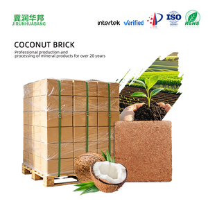 Brique de tourbe de coco compressée à faible teneur en EC, substrat organique pour la plantation de fleurs et de plantes de jardin - Product Image 1