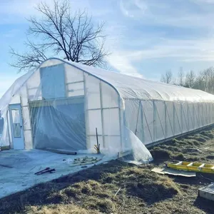 Serre de graines de fraises tunnel en plastique, prix bon marché