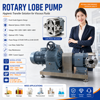 Pompe à rotor rotatif à lobes en acier inoxydable 304 316l de qualité alimentaire pour graisse, gel, sirop, shampoing, chocolat, liquide visqueux