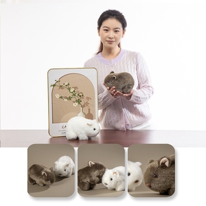 Peluche de cobaye ultra-réaliste, adorable peluche de cobaye, cadeau amusant pour les enfants, animal en peluche compagnon - Product Image 2