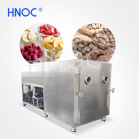 Hnoc Industriële 50Kg 100Kg 500Kg Capaciteit Fruit Vriesdroger Bevriezing Sublimatie Droogmachine