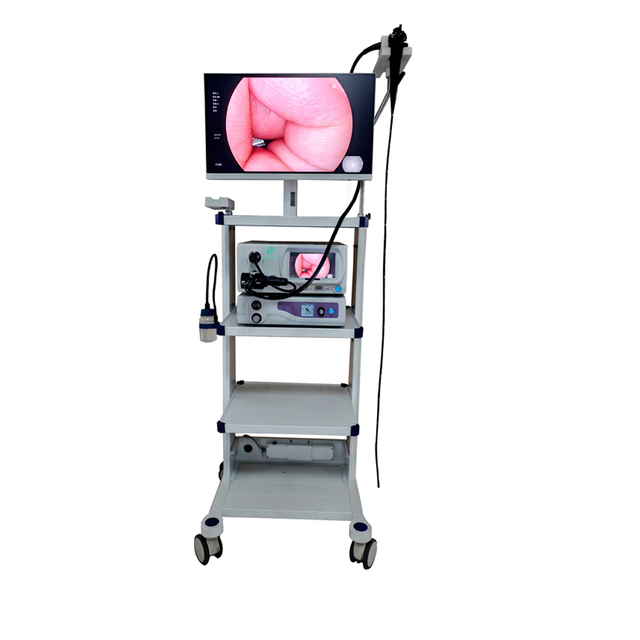 Medical Endoscope Flexible Video Gastroscope and Colonoscope for Adult and Pediatric in Hospital