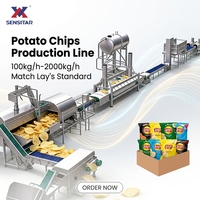 Ligne de production de chips de pommes de terre 100kg/200kg/500kg/1000kg, qualité Pringles
