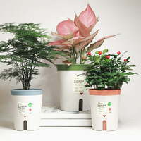 Pot de fleurs auto-arrosant, pot hydroponique paresseux, pot de fleurs en plastique, décoration de bureau, pot de fleurs auto-absorbant, décoration de bureau, salon