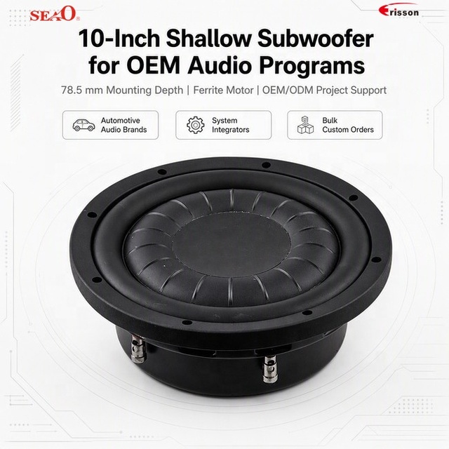 10 Inch Shallow Universal Fit Car Subwoofer 250W 500W Dual 2 Ohm Iron PP Cone Rubber Edge Automotive Audio OEM ODM