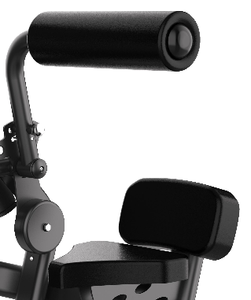 Machine de musculation abdominale et dorsale 2-en-1 pour salle de sport professionnelle – Équipement d'entraînement de la force du tronc – Vente directe usine - Product Image 2