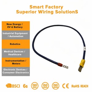 Konektor Kabel Listrik Industri Tahan Air Kustom dengan Perakitan Kabel IP67, Konduktor Tembaga untuk Mobil dan Sepeda Motor - Product Image 2