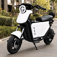 Moto tout-terrain électrique avec double siège, moteur sans balais 1200W, roues de 14 pouces, vitesse maximale de 55 km/h, autonomie jusqu'à 140 km pour adultes