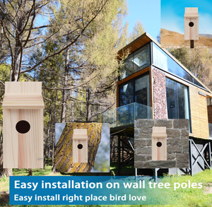 Nichoir à oiseaux en bois non fini pour l'extérieur, artisanat pour enfants, liquidation - Product Image 5