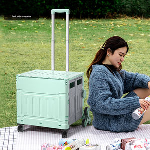 Chariot de courses pliable <span class=keywords><strong>en</strong></span> plastique grande capacité avec roues, chariot de supermarché, <span class=keywords><strong>caisse</strong></span> roulante pliable, boîte de rangement - Product Image 6