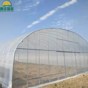 Tunnel Green house Singlespan Greenhouse PE/Po/PVC Film Greenhouse in Tropical or Temperate Area SUNSGH greenhouse SUNSGH