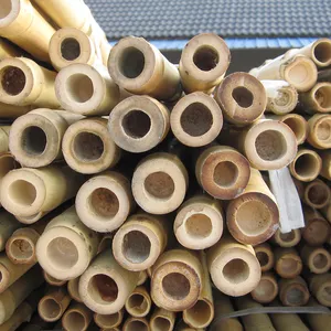 Factory bamboo sticks raw bamboo poles custom bamboo raw material