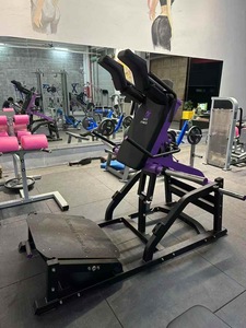 Equipo comercial de fitness para el hogar, utilizado para fortalecer el entrenamiento de glúteos y glúteos <span class=keywords><strong>ZP</strong></span> - Product Image 2