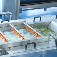 Industriële hogedrukreinigingsmachine voor vers fruit (mango, appel) en groenten met luchtbellen