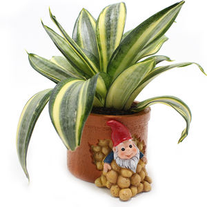 Mini pot de fleurs personnalisé nain de jardin jardinières en résine collection intérieure maison pots de fleurs de cour - Product Image 4