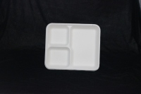 Assiettes carrées jetables en bagasse de canne à sucre de 10 pouces pour la restauration