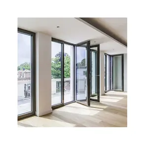 कस्टम विला हाउस कार्यालय आधुनिक बाड़ डिजाइन जलरोधक एल्यूमीनियम ख़िड़की दरवाजा