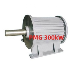 เครื่องกำเนิดไฟฟ้ากระแสสลับคุณภาพสูง 300 กิโลวัตต์ แม่เหล็ก 420 โวลต์ 600 โวลต์ - Product Image 3