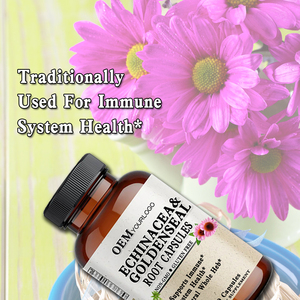 Organische Lymfatische <span class=keywords><strong>Capsules</strong></span> <span class=keywords><strong>Echinacea</strong></span> Purpurea Extract Supplement <span class=keywords><strong>Capsules</strong></span> voor Immuunondersteuning <span class=keywords><strong>Echinacea</strong></span> Extract <span class=keywords><strong>Capsules</strong></span> - Product Image 3