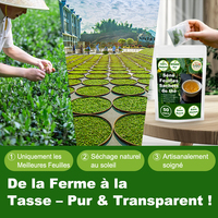 Thé Détox et Minceur Ventre Plat aux Feuilles de Séné – Sachets de Thé Goût Plantes Naturelles et Santé