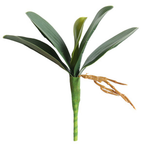 Pegamento suave con hojas de orquídeas y mariposas, hoja de cimbidio Artificial de tres tamaños para decoración del hogar, venta al por mayor - Product Image 1