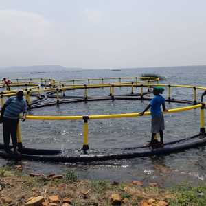 Cage en <span class=keywords><strong>filet</strong></span> HDPE circulaire <span class=keywords><strong>de</strong></span> fournisseur d'or-<span class=keywords><strong>Prix</strong></span> direct d'usine, qualité supérieure pour les pisciculteurs mondiaux - Product Image 3