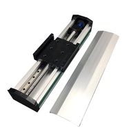 Módulo de movimiento lineal de aluminio de alta velocidad y precisión con guía lineal integrada, actuador y rodamientos para robot cartesiano de recogida y colocación.