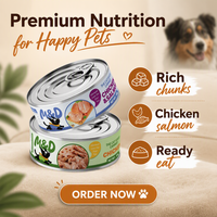 Beli Grosir Makanan Kucing Basah Kaleng Tinggi Protein 85g Layanan OEM ODM Rasa Ayam Alami Semua Bahan Alami Makanan Hewan Peliharaan Kaleng