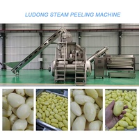 Machine à éplucher et à couper les légumes, les tomates, le manioc et les pommes de terre, à haut rendement industriel, mini, avec perte de peau réduite, 3T/H 6T/H