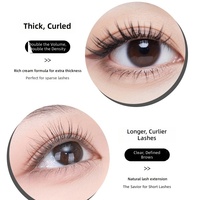 Mascara volumisant, allongeant et recourbant certifié Halal BPOM, maquillage pour les yeux longue tenue, marque privée, vente en gros