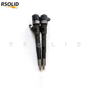 Inyector de Combustible Diésel Common Rail Rsoliddiesel 0445110251 0986435125 para Motor D5244T D5244T4 D5244T5, Piezas de Motor Diésel - Product Image 2