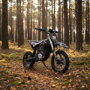 <span class=keywords><strong>Prix</strong></span> Abordable, Haute Puissance 4000W, Batterie Rechargeable, Pneu Tout-Terrain 14 Pouces 60V, Double Suspension Hydraulique, Capacité de Charge 150kg, Route - Product Image 2