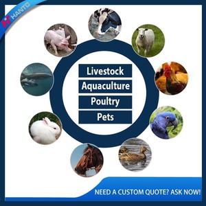 <span class=keywords><strong>Machine</strong></span> à granulés de diesel pour la fabrication d'aliments pour poulets, porcs et bovins avec une production stable pour les petites et moyennes exploitations agricoles - Product Image 4