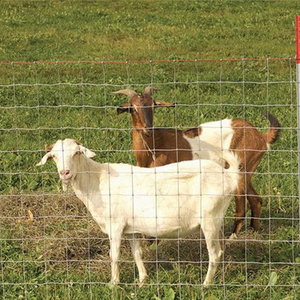 Hot Dipped Galvanized Steel <b>Wire</b> Cattle <b>Netting</b> / Anti-Rust Agricultural Field Fencing for Goat and Cattle - Product Image 4