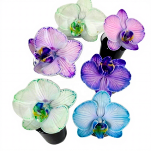 Agente Absorbente de Flores, Pigmento para Phalaenopsis, Absorción por Rizoma, Colorante Ácido Soluble en Agua de Alta Concentración, Colorante Especial - Product Image 1