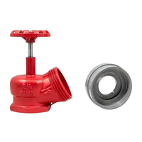Robinet d'angle pour bouche d'incendie 2,5 pouces DN65 PN16 45° - Robinet de distribution intérieur à filetage BSPT/NPT