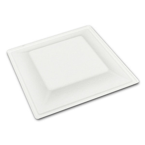 Assiettes carrées jetables biodégradables compostables écologiques blanches pour fêtes, mariages, plats à emporter, camping - Product Image 2