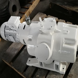 Pompe Roots refroidie par eau ZJY-300A, pompe à basse aspiration pour chaudières industrielles et l'industrie chimique - Product Image 5
