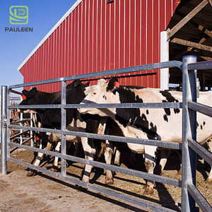 Panneaux de clôture pour chevaux en tuyau galvanisé / Clôture pour chevaux à barreaux à vendre - Product Image 1