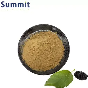 High Quality Pure Mulberry Leaf Extract DNJ 5% White Mulberry Leaf Extract