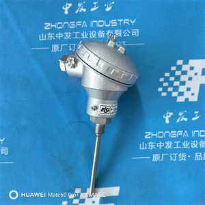 เซ็นเซอร์วัดอุณหภูมิ Elsi รุ่น F1.S60-P00-B0105-F00 อะไหล่ควบคุมอุตสาหกรรม ใช้สำหรับมอนิเตอร์ - Product Image 4