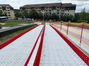 Toutes sortes de tapis de ski à pente sèche Ski Club Sports Synthétique Snow tube Flooring Mat à vendre