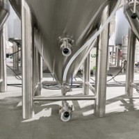 Fermenteur de bière à pression à température contrôlée de 250 L, cuve de fermentation conique isolée en SUS304 pour brasserie artisanale et brasserie publique