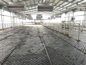 공장 직판 미끄럼 방지 고무 말 마구간 매트 내구성 있는 사육 동물 사육장 매트 맞춤 절단 - Product Image 6