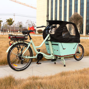 <span class=keywords><strong>Cargo</strong></span> Pick-up électrique Pliable Panier avant <span class=keywords><strong>Cargo</strong></span> E-bike Transport normal <span class=keywords><strong>Cargo</strong></span> électrique Ebike Baby Bike - Product Image 1
