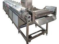 Hoge capaciteit fruit- en groenteverwerkingsmachine, stoomkokosnootbandblancher, hazelnootblancher