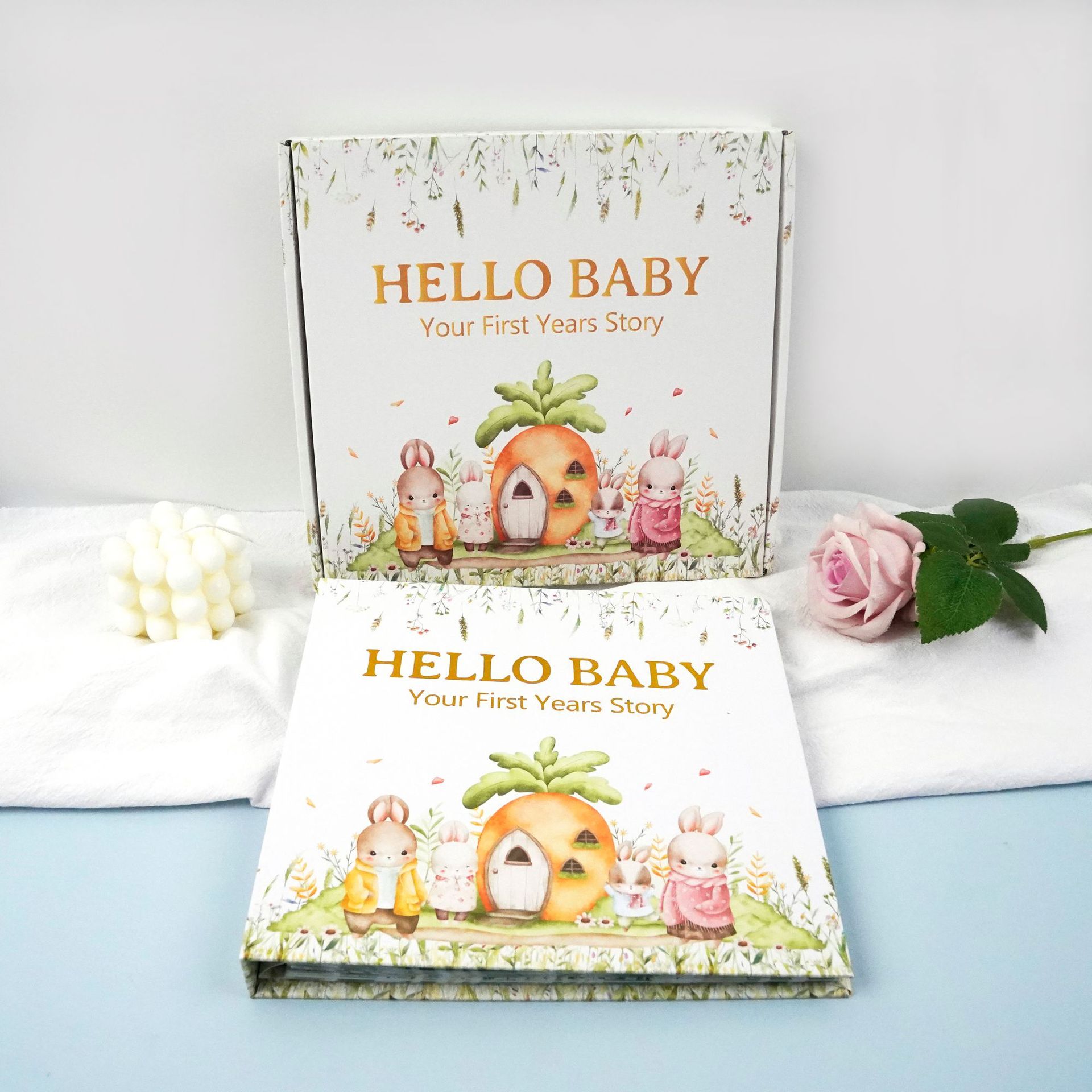 livre de croissance du bébé lapin